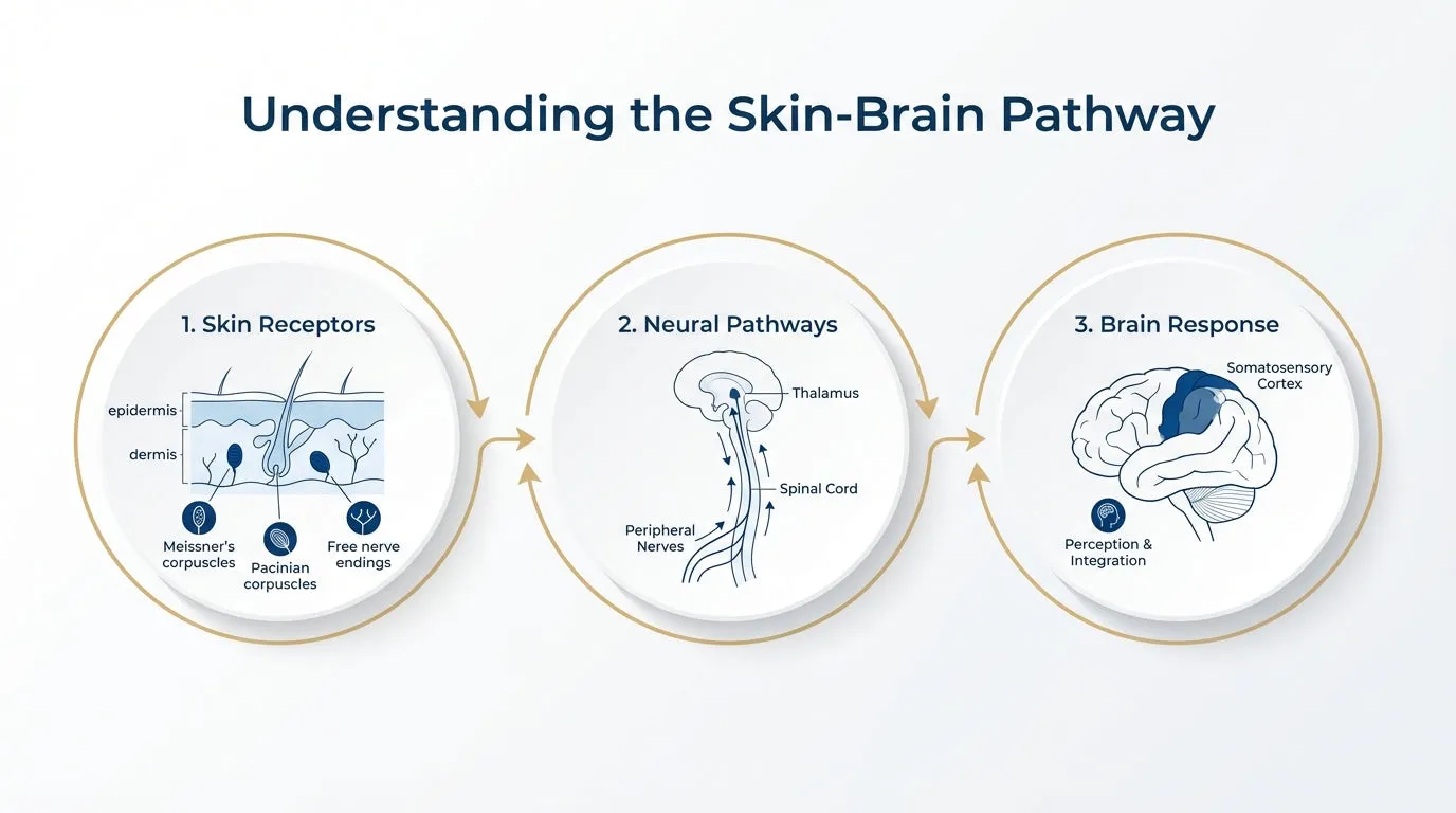 BCI 2026: Shopify Plus Bridges Neuro-Empathy Gap [UX Insights]