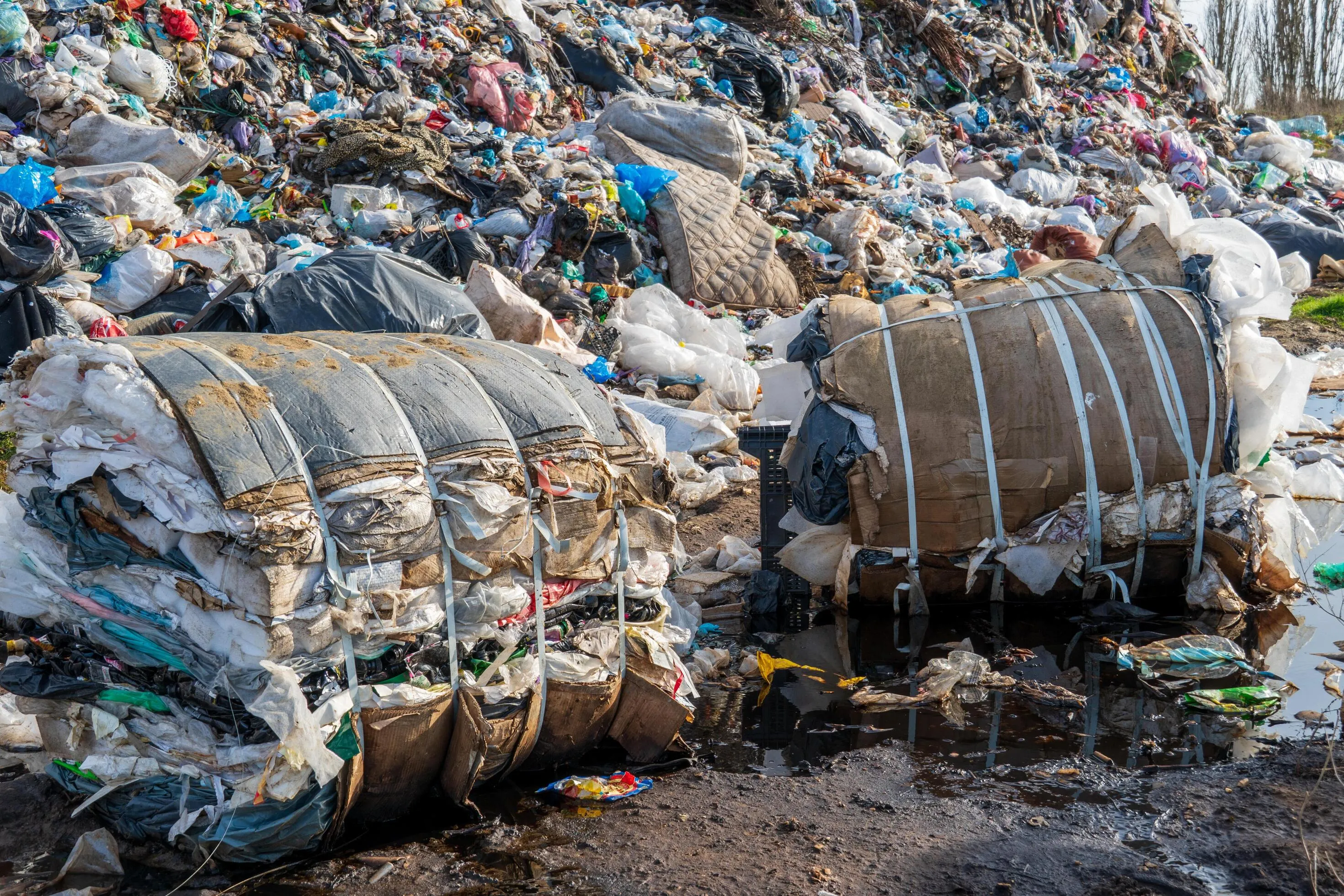 Shopify Cost Optimization: Stop The Lean Paradox [7 Fixes] Cover Image