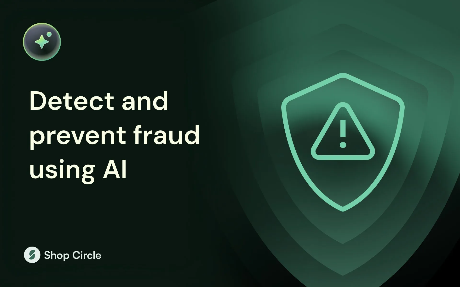 Shopify AI fraud anomaly detection - Shopify Chargebacks: Master Risk & Slash Disputes by 80% [2024]