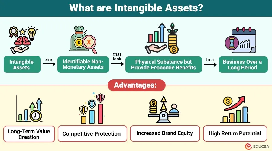 intangible asset future-proof technology - Shopify Plus: Why CFOs See It as a 2026 Capital Asset