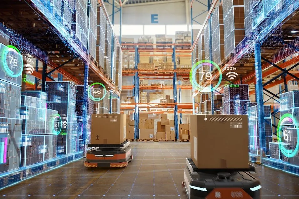E-commerce warehouse streamlined automation system - Shopify Plus: Project Manage Process Debt for Max Velocity
